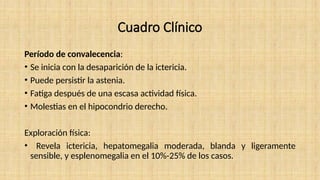 Cuadro Clínico
Período de convalecencia:
• Se inicia con la desaparición de la ictericia.
• Puede persistir la astenia.
• Fatiga después de una escasa actividad física.
• Molestias en el hipocondrio derecho.
Exploración física:
• Revela ictericia, hepatomegalia moderada, blanda y ligeramente
sensible, y esplenomegalia en el 10%-25% de los casos.
 