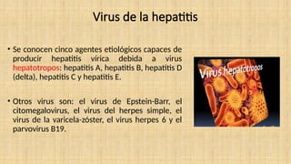 Virus de la hepatitis
• Se conocen cinco agentes etiológicos capaces de
producir hepatitis vírica debida a virus
hepatotropos: hepatitis A, hepatitis B, hepatitis D
(delta), hepatitis C y hepatitis E.
• Otros virus son: el virus de Epstein-Barr, el
citomegalovirus, el virus del herpes simple, el
virus de la varicela-zóster, el virus herpes 6 y el
parvovirus B19.
 