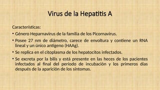 Virus de la Hepatitis A
Características:
• Género Heparnavirus de la familia de los Picornavirus.
• Posee 27 nm de diámetro, carece de envoltura y contiene un RNA
lineal y un único antígeno (HAAg).
• Se replica en el citoplasma de los hepatocitos infectados.
• Se excreta por la bilis y está presente en las heces de los pacientes
infectados al final del período de incubación y los primeros días
después de la aparición de los síntomas.
 