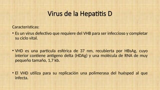 Virus de la Hepatitis D
Características:
• Es un virus defectivo que requiere del VHB para ser infeccioso y completar
su ciclo vital.
• VHD es una partícula esférica de 37 nm, recubierta por HBsAg, cuyo
interior contiene antígeno delta (HDAg) y una molécula de RNA de muy
pequeño tamaño, 1,7 kb.
• El VHD utiliza para su replicación una polimerasa del huésped al que
infecta.
 