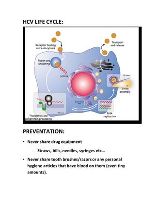 HCV LIFE CYCLE:
PREVENTATION:
• Never share drug equipment
– Straws, bills, needles, syringes etc…
• Never share tooth brushes/razorsor any personal
hygiene articles that have blood on them (even tiny
amounts).
 