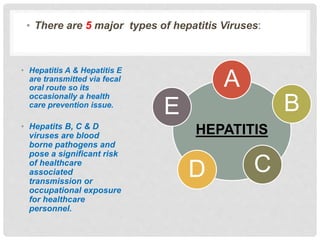 WHAT IS HEPATITIS?
• Hepatitis A & Hepatitis E
are transmitted via fecal
oral route so its
occasionally a health
care prevention issue.
• Hepatits B, C & D
viruses are blood
borne pathogens and
pose a significant risk
of healthcare
associated
transmission or
occupational exposure
for healthcare
personnel.
HEPATITIS
A
B
CD
E
• There are 5 major types of hepatitis Viruses:
 