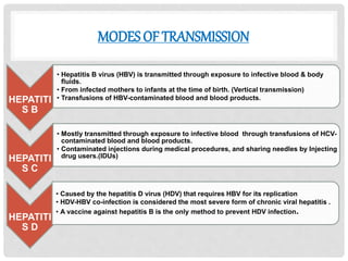 MODES OF TRANSMISSION
HEPATITI
S B
• Hepatitis B virus (HBV) is transmitted through exposure to infective blood & body
fluids.
• From infected mothers to infants at the time of birth. (Vertical transmission)
• Transfusions of HBV-contaminated blood and blood products.
HEPATITI
S C
• Mostly transmitted through exposure to infective blood through transfusions of HCV-
contaminated blood and blood products.
• Contaminated injections during medical procedures, and sharing needles by Injecting
drug users.(IDUs)
HEPATITI
S D
• Caused by the hepatitis D virus (HDV) that requires HBV for its replication
• HDV-HBV co-infection is considered the most severe form of chronic viral hepatitis .
• A vaccine against hepatitis B is the only method to prevent HDV infection.
 