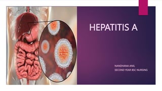 HEPATITIS A
NANDHANA ANIL
SECOND YEAR BSC NURSING
 