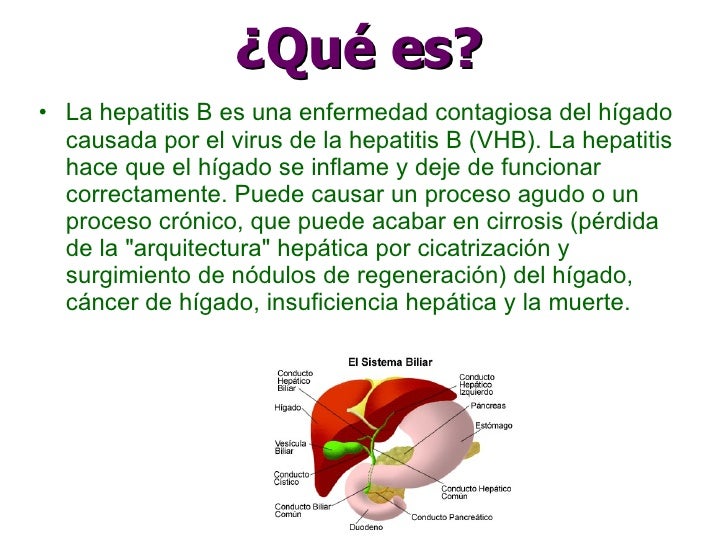 HEPATITIS B HEPATITIS B