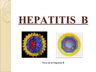 HEPATITIS  B Virus de la Hepatitis B 