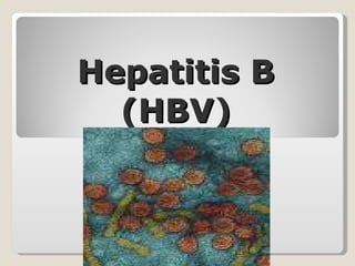 Hepatitis B (HBV) 