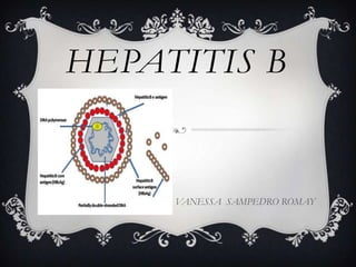 HEPATITIS B


     VANESSA SAMPEDRO ROMAY
 