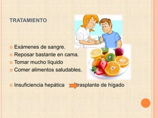 TRATAMIENTO




 Exámenes de sangre.
 Reposar bastante en cama.

 Tomar mucho líquido

 Comer alimentos saludables.



   Insuficiencia hepática   trasplante de hígado
 