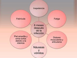 Inapetencia



  Febrícula                        Fatiga


                  6 meses
                  después
                    de la
                  infección
Piel amarilla y
                                  Dolores
 orina turbia
                                musculares y
 debido a la
                                 articulares
   ictericia

                  Náuseas
                     y
                  vómitos
 