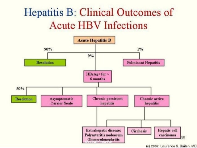 Hepatitis B In Pregnancy