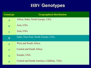 Genotype Geographical distribution
A Africa, India, North Europe, USA.
B Asia, USA
C Asia, USA
D
India, Near East, South Europe, USA.
E West and South Africa.
F Central and South Africa.
G Europe, USA.
H Central and South America. Califrnia, USA.
HBVHBV GenotypesGenotypes
 