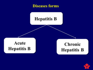 Hepatitis BHepatitis B
Chronic
Hepatitis B
Chronic
Hepatitis B
Acute
Hepatitis B
Acute
Hepatitis B
Diseases forms
 