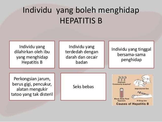Sce1064 Hepatitis B
