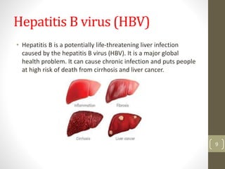 Hepatitis B Risks Overview Hepatitis B | PPTX