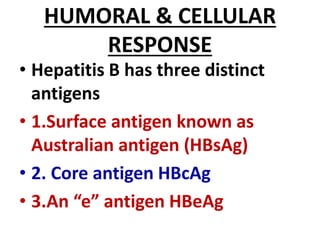 HUMORAL & CELLULAR
RESPONSE
• Hepatitis B has three distinct
antigens
• 1.Surface antigen known as
Australian antigen (HBsAg)
• 2. Core antigen HBcAg
• 3.An “e” antigen HBeAg
 