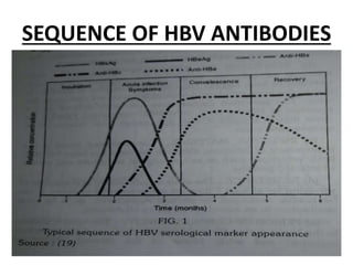SEQUENCE OF HBV ANTIBODIES
 