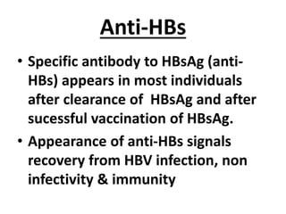 Anti-HBs
• Specific antibody to HBsAg (anti-
HBs) appears in most individuals
after clearance of HBsAg and after
sucessful vaccination of HBsAg.
• Appearance of anti-HBs signals
recovery from HBV infection, non
infectivity & immunity
 