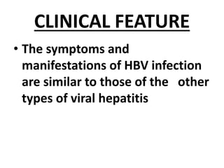 CLINICAL FEATURE
• The symptoms and
manifestations of HBV infection
are similar to those of the other
types of viral hepatitis
 