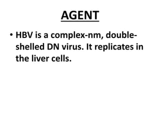 AGENT
• HBV is a complex-nm, double-
shelled DN virus. It replicates in
the liver cells.
 