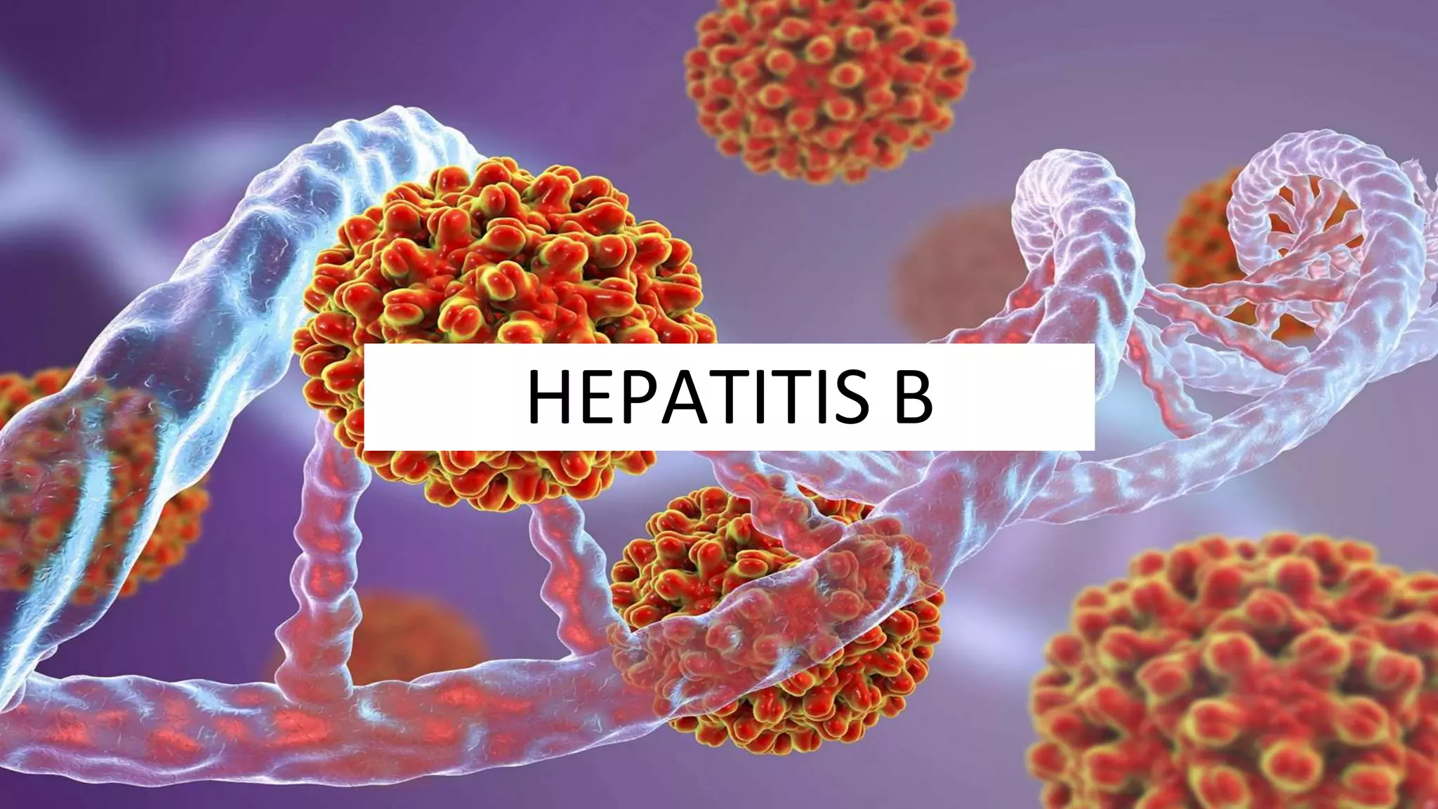 Hepatitis B virus | PPTX