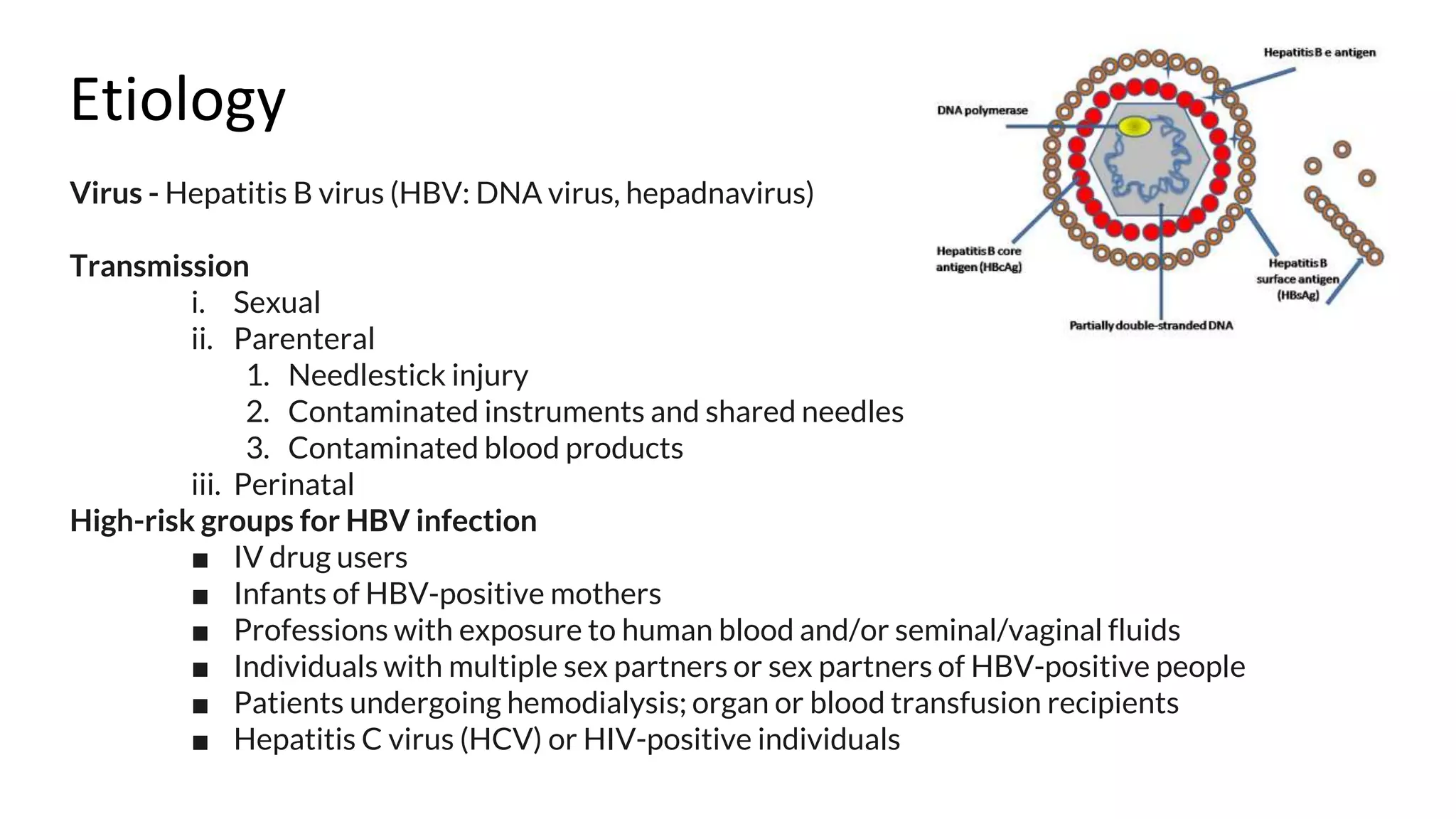 Hepatitis B virus | PPTX