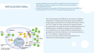 • Aunque el VHB es un virus de ADN, la replicación ocurre a través de un
intermediario de ARN y requiere una enzima activa de transcriptasa
inversa/polimerasa viral.
• La tasa de mutación es mayor para el VHB que para otros virus de ADN, con
una estimación de 10^13 a 10^15 mutaciones puntuales por día.
• Hay 10 genotipos de VHB (A-J) y numerosos subtipos,
basados en comparaciones de genomas completos.
• El genotipo A predomina en Europa del Norte y los EE.
UU. B y C están en Asia oriental y el Lejano Oriente.
• D se encuentra en todo el mundo, especialmente en el
Mediterráneo, el Medio Oriente y Asia meridional.
• E es endémico en el oeste de África subsahariana, F
prevalece en América Central, G y H se encuentran en
EE. UU. y México, respectivamente.
• I y J son los más recientemente descubiertos en
Vietnam y las Islas Ryukyu en Japón.
REPLICACIÓN VIRAL:
 