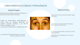 El periodo de incubación varía de semanas a 6
meses (promedio de 60 a 90 días). Puede carecer de una historia de hepatitis aguda
sintomática.
Puede ser asintomática, especialmente en
niños, pero en algunos pacientes hay
malaise, náuseas, vómitos y, en 10-20%,
fiebre, artralgias, y rash.
La ictericia se presenta en alrededor del 30%.
Los síntomas son predominantemente fatiga,
incluso durante reactivaciones
La persistencia de HBsAg después de 6 meses
indica una infección crónica.
En cirrosis descompensada, hay ictericia, ascitis y
edema periférico
Manifestaciones extrahepáticas son raras pero
importantes.
CARACTERÍSTICAS CLÍNICAS Y PATOLÓGICAS
Hepatitis B Aguda: Hepatitis B Crónica
 