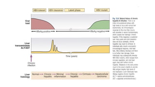Hepatitis b general medicine powerpoint.. | PPTX