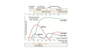 Hepatitis b general medicine powerpoint.. | PPTX