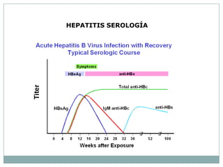 HEPATITIS SEROLOGÍA
 