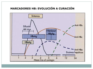 MARCADORES HB: EVOLUCIÓN A CURACIÓN
 