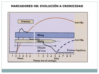 MARCADORES HB: EVOLUCIÓN A CRONICIDAD
 