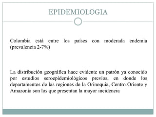 EPIDEMIOLOGIA


Colombia está entre los países con moderada endemia
(prevalencia 2-7%)



La distribución geográfica hace evidente un patrón ya conocido
por estudios seroepidemiológicos previos, en donde los
departamentos de las regiones de la Orinoquia, Centro Oriente y
Amazonía son los que presentan la mayor incidencia
 