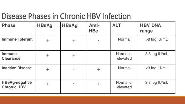 Hep B Diagnosis Chart