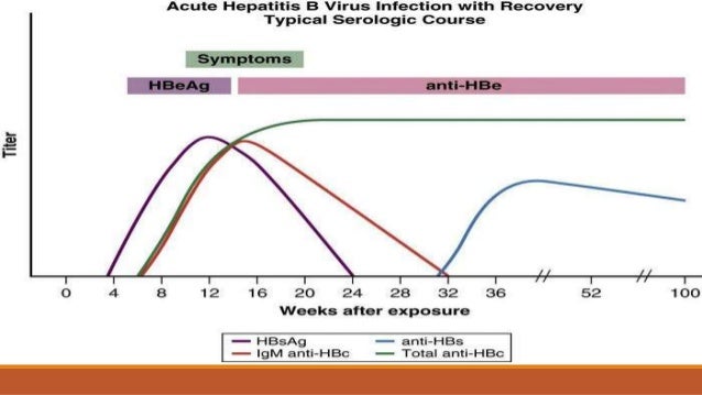 Hep B Serology Chart