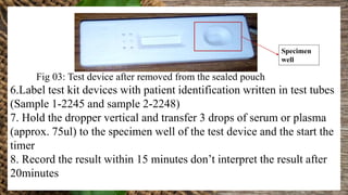 Fig 03: Test device after removed from the sealed pouch
6.Label test kit devices with patient identification written in test tubes
(Sample 1-2245 and sample 2-2248)
7. Hold the dropper vertical and transfer 3 drops of serum or plasma
(approx. 75ul) to the specimen well of the test device and the start the
timer
8. Record the result within 15 minutes don’t interpret the result after
20minutes
Specimen
well
 