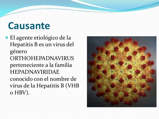 Agente Causal De La Hepatitis B