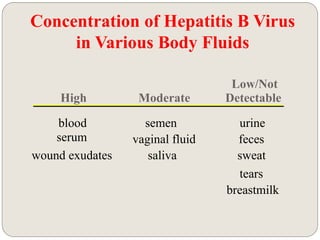 High Moderate
Low/Not
Detectable
blood semen urine
serum vaginal fluid feces
wound exudates saliva sweat
tears
breastmilk
Concentration of Hepatitis B Virus
in Various Body Fluids
 