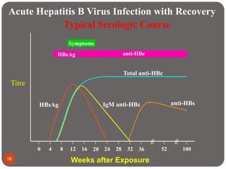 Symptoms
HBeAg anti-HBe
Total anti-HBc
IgM anti-HBc anti-HBsHBsAg
0 4 8 12 16 20 24 28 32 36 52 100
Acute Hepatitis B Virus Infection with Recovery
Typical Serologic Course
Weeks after Exposure
Titre
18
 