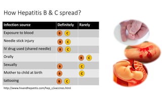 Basic info about Hepatitis B & C | PPTX