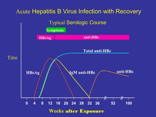 Acute Hepatitis B Virus Infection with Recovery
Typical Serologic Course
Symptoms
HBeAg

anti-HBe

Total anti-HBc

Titre

0

4

anti-HBs

IgM anti-HBc

HBsAg

8

12 16 20 24 28 32 36

Weeks after Exposure

52

100

 