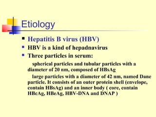 Etiology


Hepatitis B virus (HBV)



HBV is a kind of hepadnavirus
Three particles in serum:



spherical particles and tubular particles with a
diameter of 20 nm, composed of HBsAg
large particles with a diameter of 42 nm, named Dane
particle. It consists of an outer protein shell (envelope,
contain HBsAg) and an inner body ( core, contain
HBcAg, HBeAg, HBV-DNA and DNAP )

 