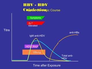 HBV - HDV
Coinfection Course
Typical Serologic
Symptoms
ALT
Elevated

Titre
IgM anti-HDV

anti-HBs

HDV RNA
HBsAg
Total antiHDV

Time after Exposure

 