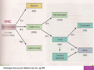 Hepatitis C y su manejo