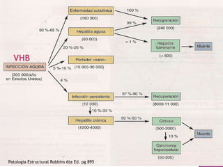 VHBPatologia Estructural Robbins 6ta Ed. pg 895 