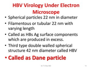 HBV Virology Under Electron
Microscope
• Spherical particles 22 nm in diameter
• Filamentous or tubular 22 nm with
varying length
• Called as HBs Ag surface components
which are produced in excess.
• Third type double walled spherical
structure 42 nm diameter called HBV
• Called as Dane particle
Dr.T.V.Rao MD 14
 