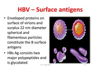 HBV – Surface antigens
• Enveloped proteins on
surface of virions and
surplus 22 nm diameter
spherical and
filamentous particles
constitute the B surface
antigens
• HBs Ag consists two
major polypeptides and
is glycolated Dr.T.V.Rao MD 15
 