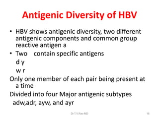 Antigenic Diversity of HBV
• HBV shows antigenic diversity, two different
antigenic components and common group
reactive antigen a
• Two contain specific antigens
d y
w r
Only one member of each pair being present at
a time
Divided into four Major antigenic subtypes
adw,adr, ayw, and ayr
Dr.T.V.Rao MD 16
 