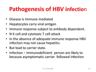 Pathogenesis of HBV infection
• Disease is Immune mediated
• Hepatocytes carry viral antigen
• Immune response subject to antibody dependent.
• N K cell and cytotoxic T cell attack
• In the absence of adequate immune response HBV
infection may not cause hepatitis.
• But lead to carrier state.
• Infection – Immunodeficient person are likely to
because asymptomatic carrier followed infection
Dr.T.V.Rao MD 26
 